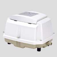 �����֥ͥ���